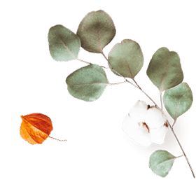 https://neidhardt-photography.com/wp-content/uploads/2020/10/floating_image_07.png