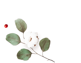 floating_image_flower_01 https://neidhardt-photography.com/wp-content/uploads/2020/12/floating_image_flower_01.png