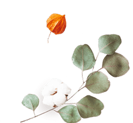 https://neidhardt-photography.com/wp-content/uploads/2020/12/floating_image_flower_02.png